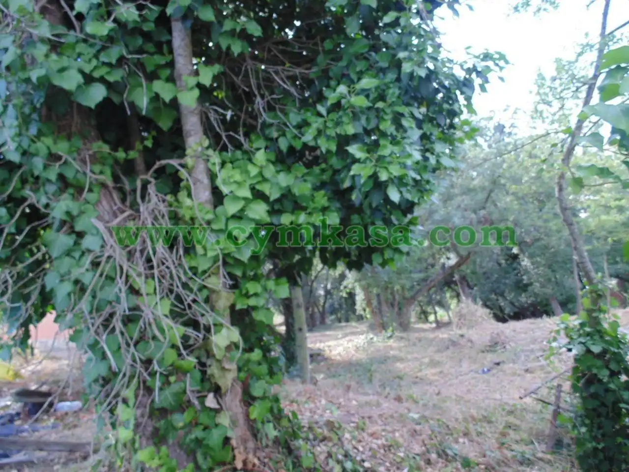 Terreno rustico in vendita a Terrabrava - Tordera Parc, imagen 2