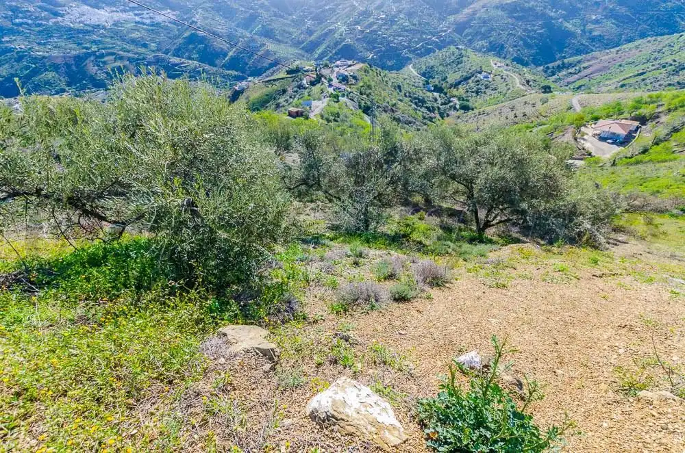 Terreno rustico in vendita a Árchez