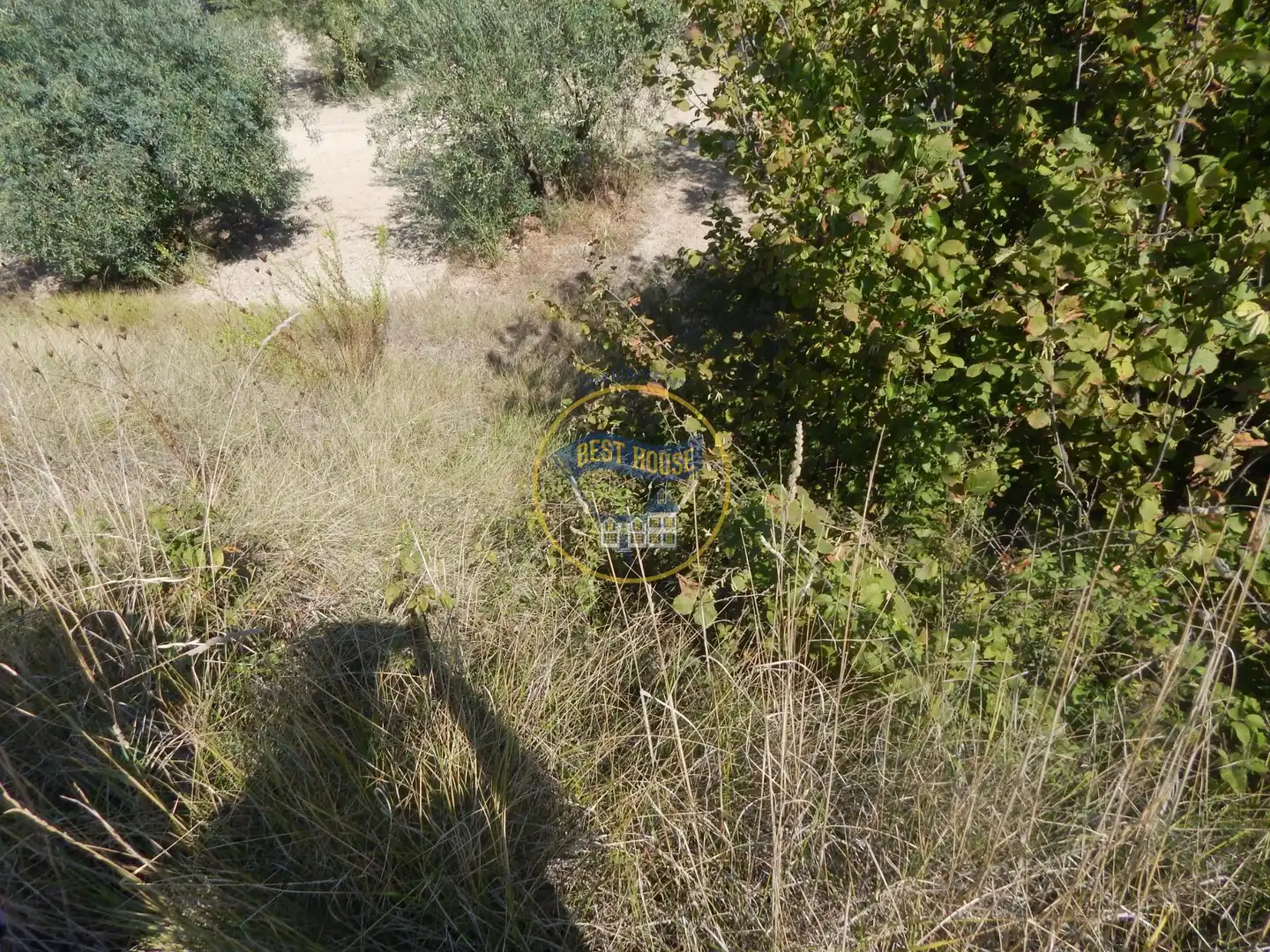 Terrain rustique à vendre à Sant Josep - Zona Hospital, imagen 10