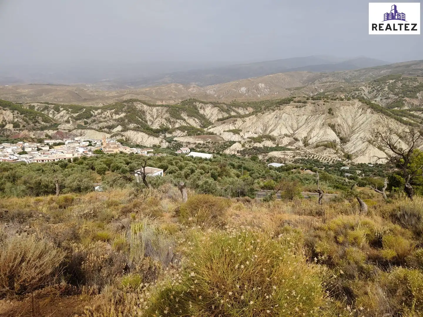 Terrain rustique à vendre à Alcolea, imagen 4