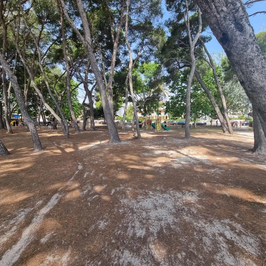 Dúplex en venda en Alcúdia amb Aire condicionat, Calefacció i Jardí privat