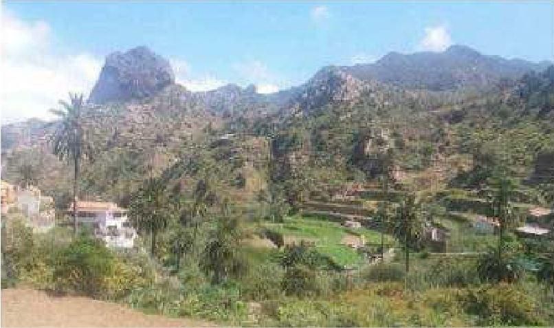 Land for sale in Vallehermoso