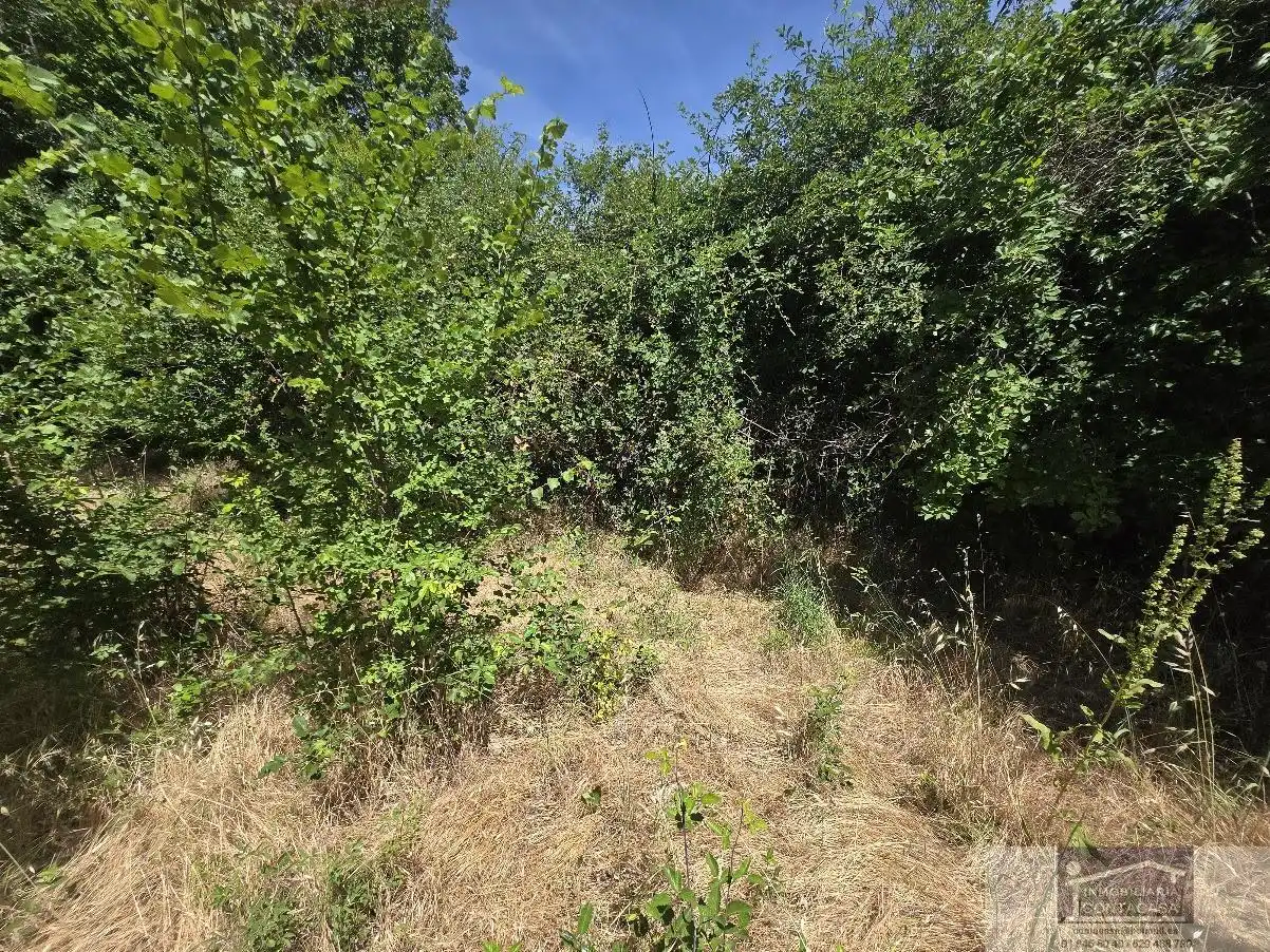 Finca rústica en venta en La Moraleja