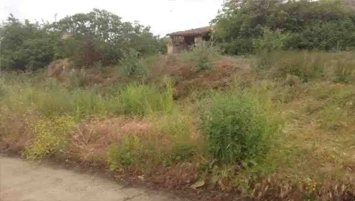 Terreno en venta en Villalobar de Rioja