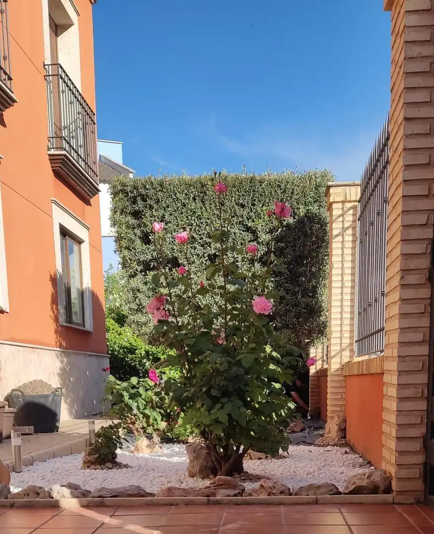 Maison avec terrasse à vendre à Valdepeñas, imagen 4