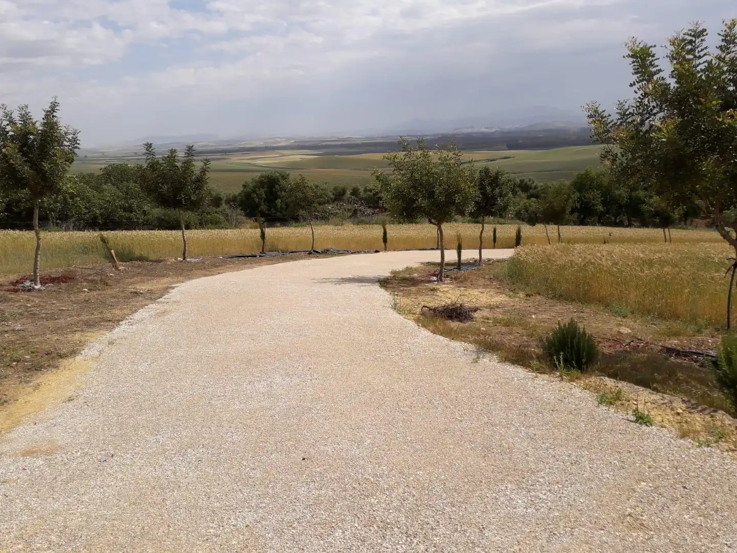 House for sale in Bornos, imagen 6