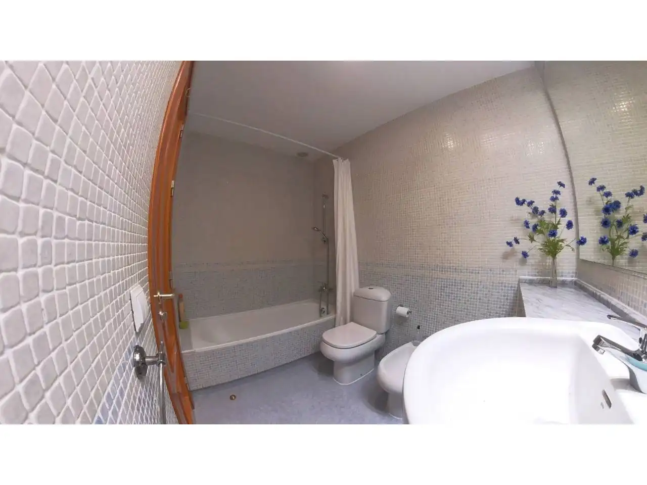 Maison à vendre à Calle Mesana, imagen 23
