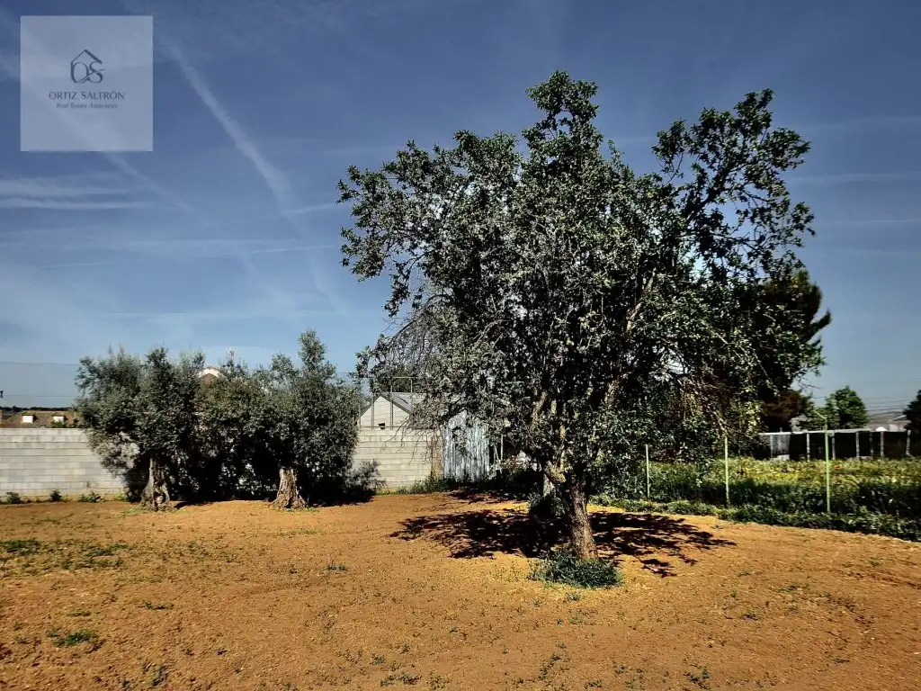 Jardí de Casa o xalet en venda en Mejorada del Campo amb Aire condicionat i Piscina