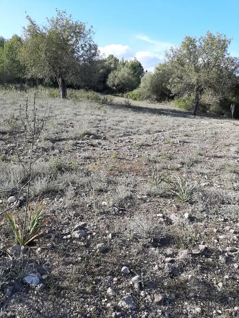 Terrain rustique à vendre à Sant Joan, imagen 13