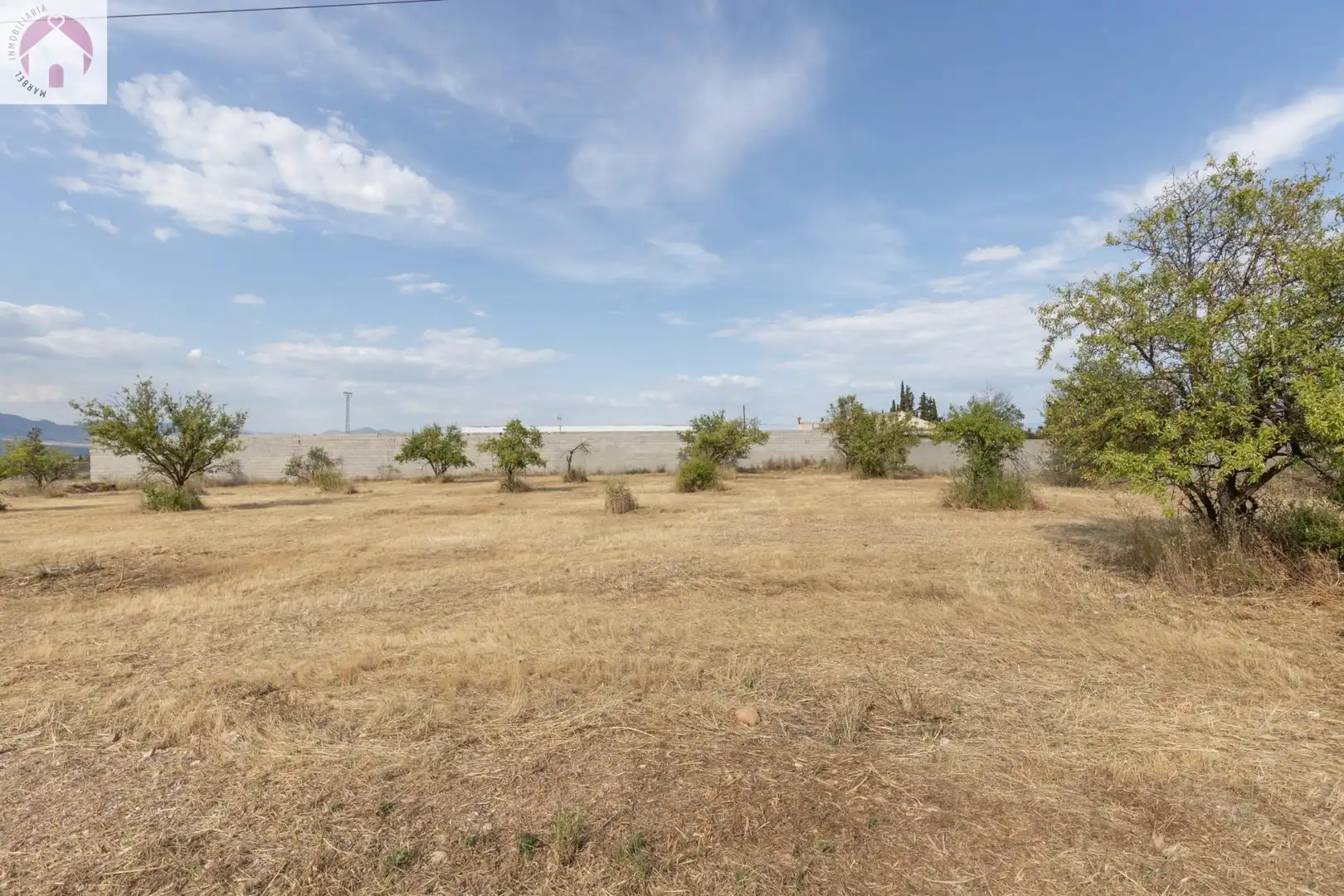 Rural land for sale in Moraleda de Zafayona, imagen 10