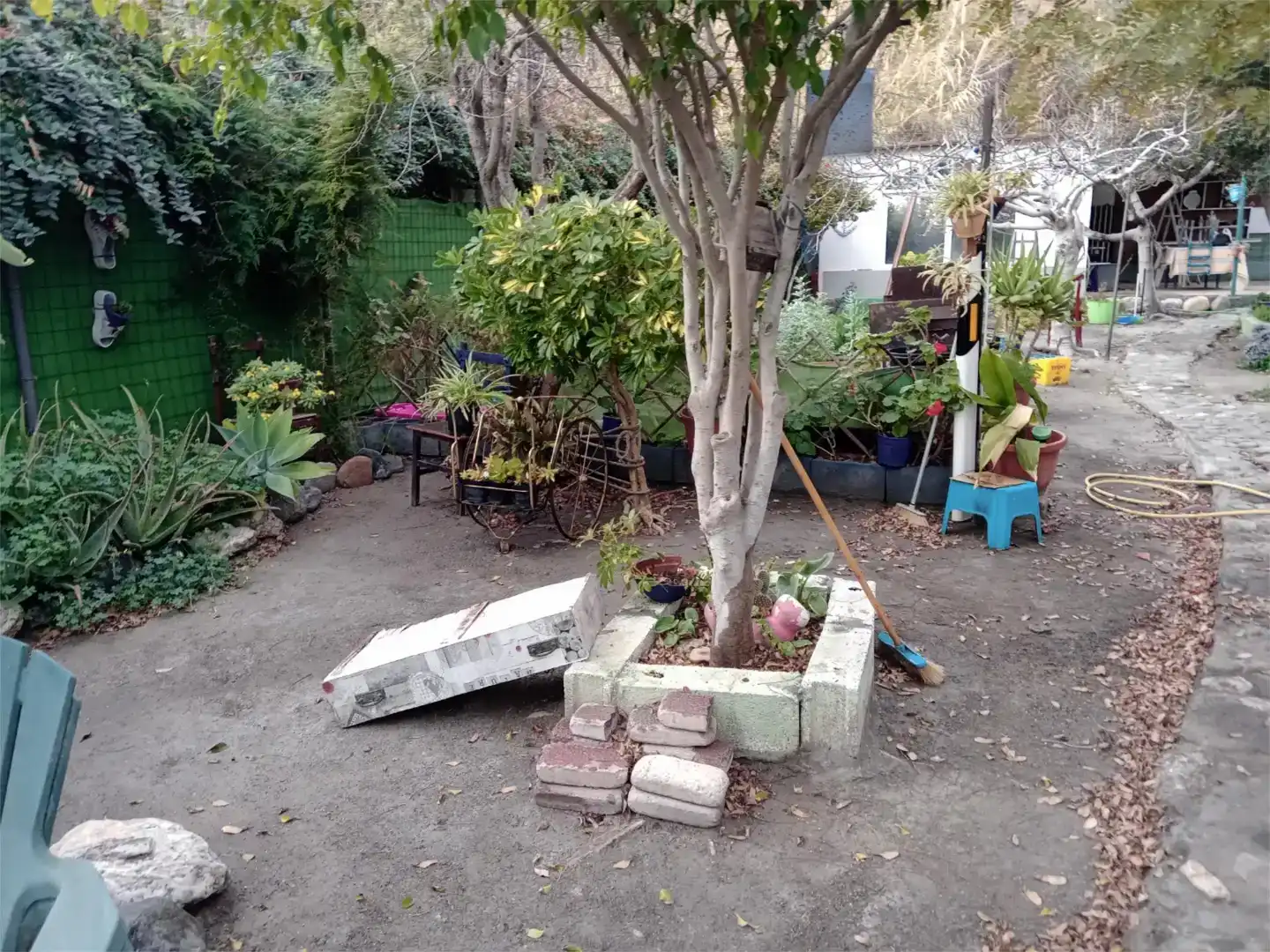 Jardí de Casa o xalet en venda en Adra