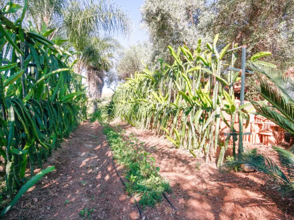 Garden of Houses for sale in Monda