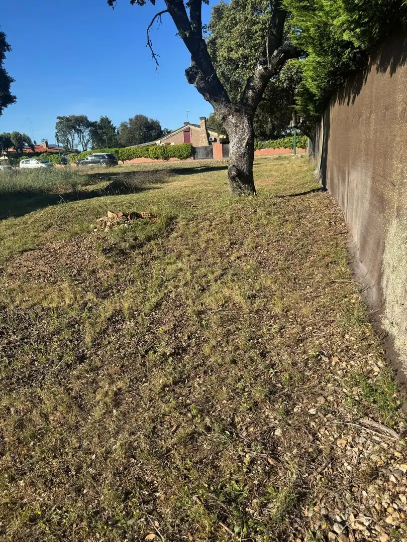 Residential for sale in Calle de Drago, 21, Carrascal de Barregas