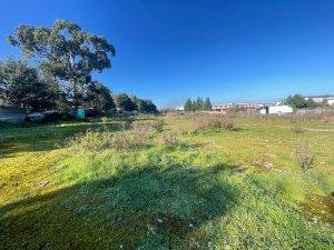 Photo 5 of Industrial land to rent in Avenida de Los Campones, Tremañes, Asturias