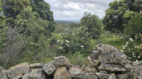 Foto 5 de Terreno en venta en Mojadillas - Parque de las Infantas - El Paraiso, Valdemorillo