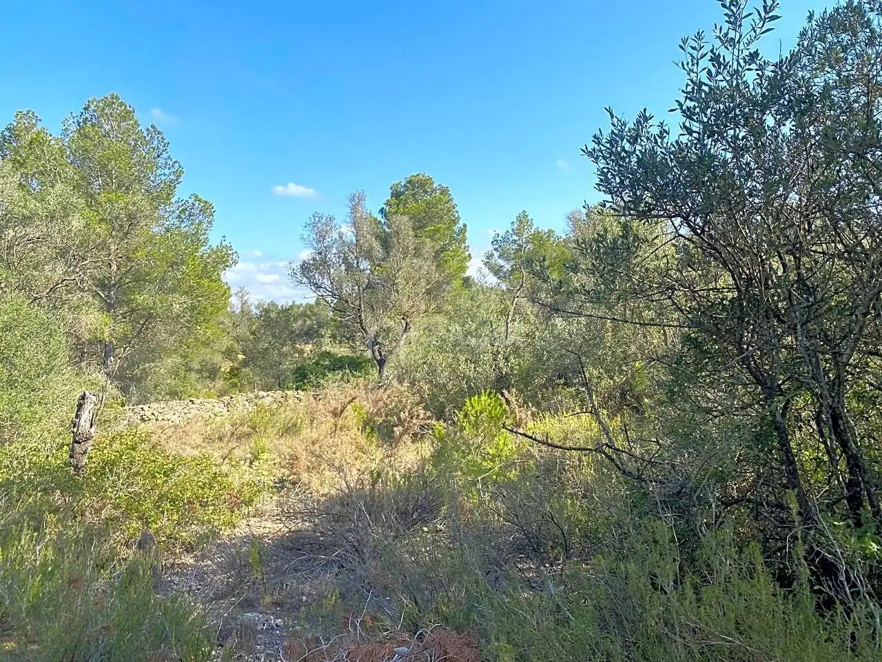 Terreno en venta en Planes, Rasquera