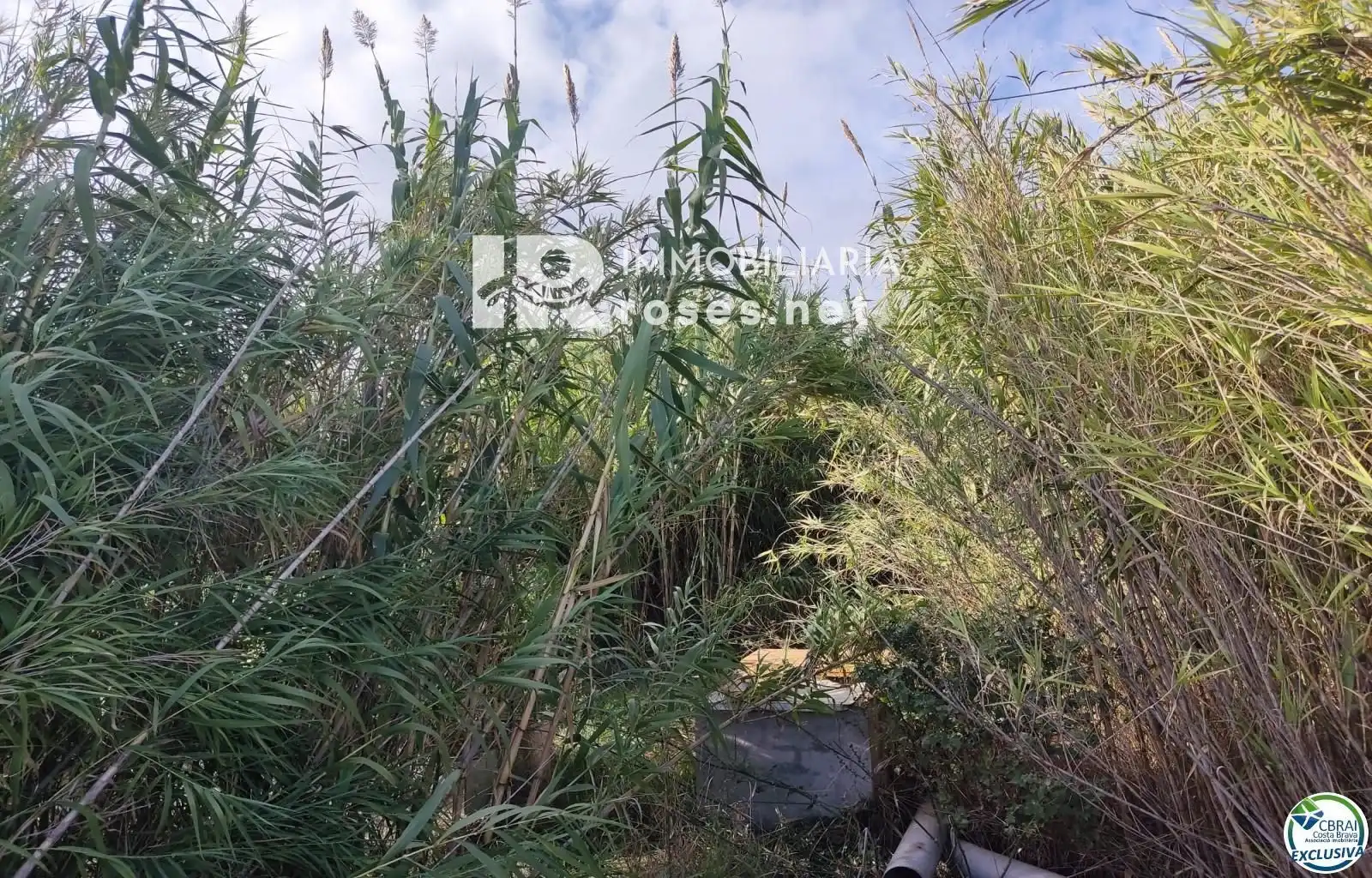 Terrain rustique à vendre à Vilamacolum, imagen 6