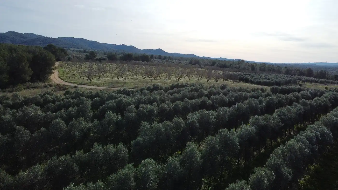 Terreno en venta en Tivissa