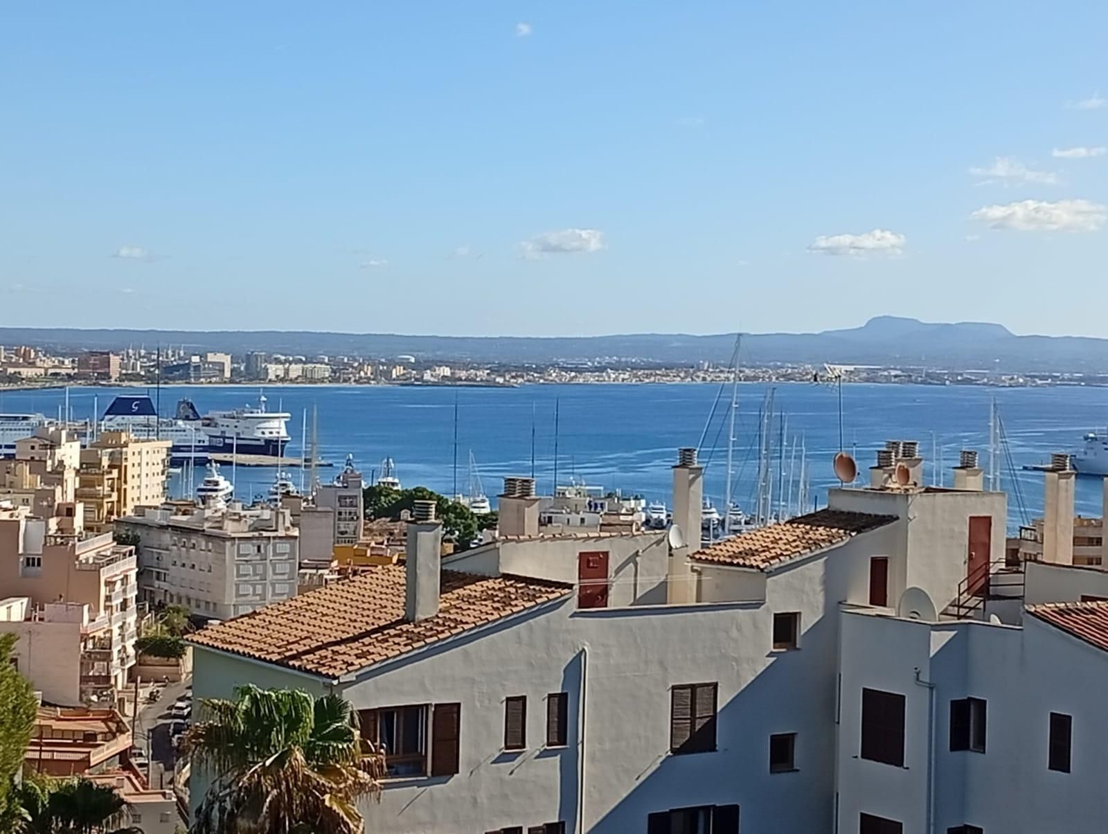 Vista exterior de Pis de lloguer en  Palma de Mallorca amb Aire condicionat, Jardí privat i Balcó