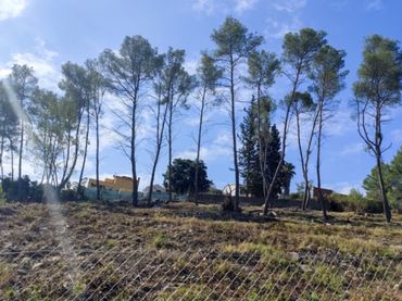 Terreno residenziale in vendita a Olivella