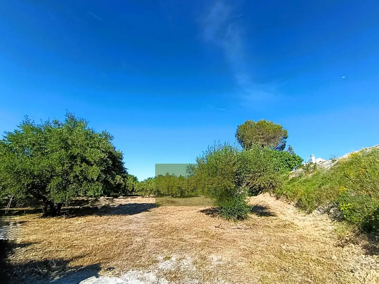 Casa o chalet en venta en Ontinyent con Jardín privado