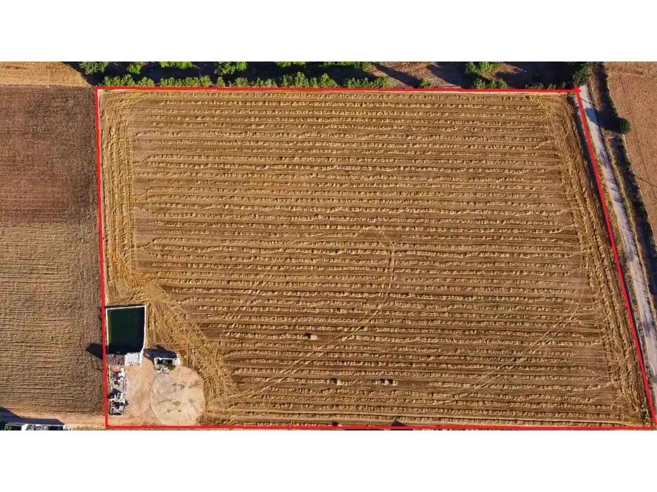 Rural land for sale in Sa Pobla, imagen 2