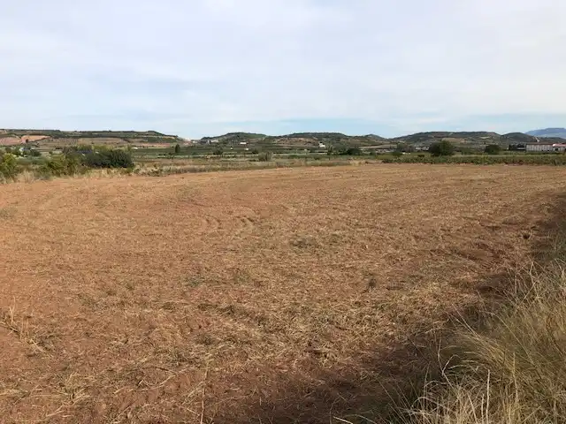 Terreny rústic en venda a Navarrete, imagen 3