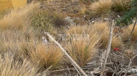 Foto 3 de Residencial en venda a Anaga, Santa Cruz de Tenerife
