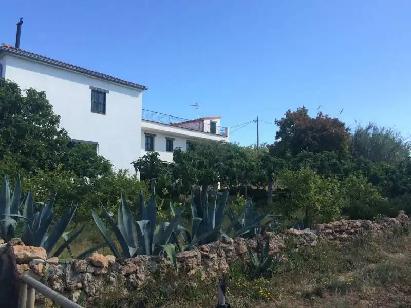 Country homes for sale in El Tancat - Mas d'en Gual