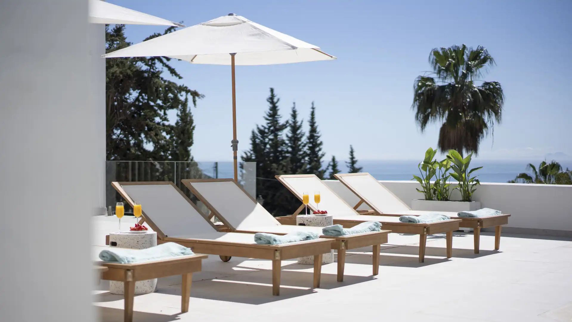 Terraza de Casa o chalet en venta en Marbella con Jardín privado y Piscina