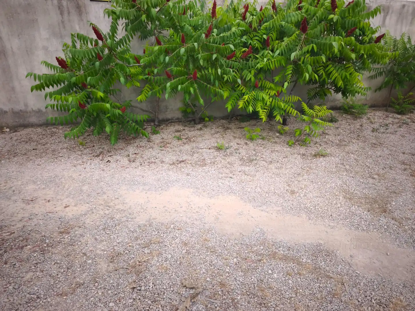 Finca rústica en venda en Masdenverge amb Jardí privat, Traster i Moblat
