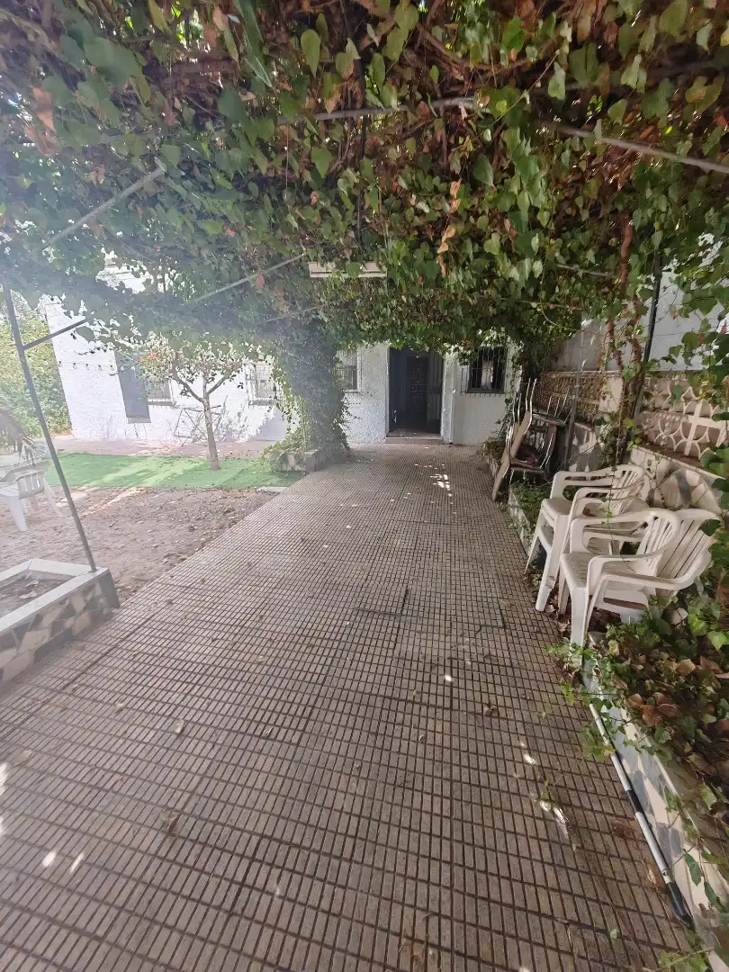 Garten von Einfamilien-Reihenhaus zur Miete in Playa Muchavista