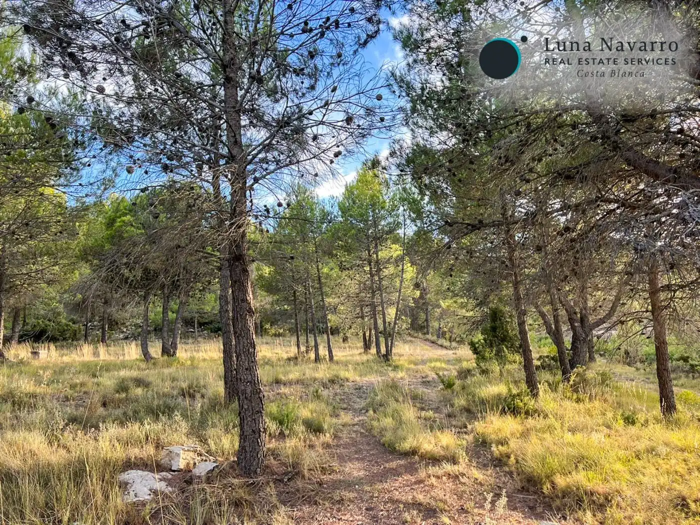 Terreno en venta en Calle San Antonio, 50, Confrides