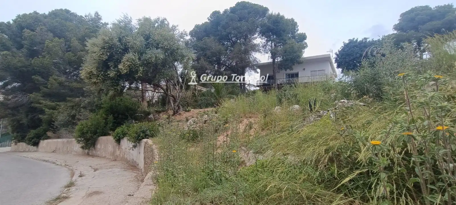 Rural land for sale in SAL, imagen 4