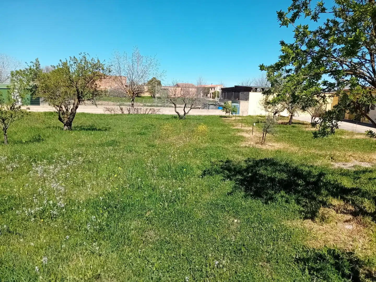 Flat for sale in Cózar