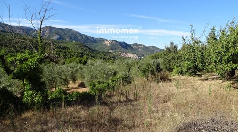 Foto 2 de Terreny en venda a 8, Paüls, Tarragona