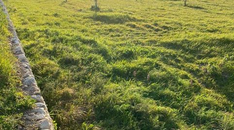 SE VENDE PARCELA EN RANDA, immagine 5