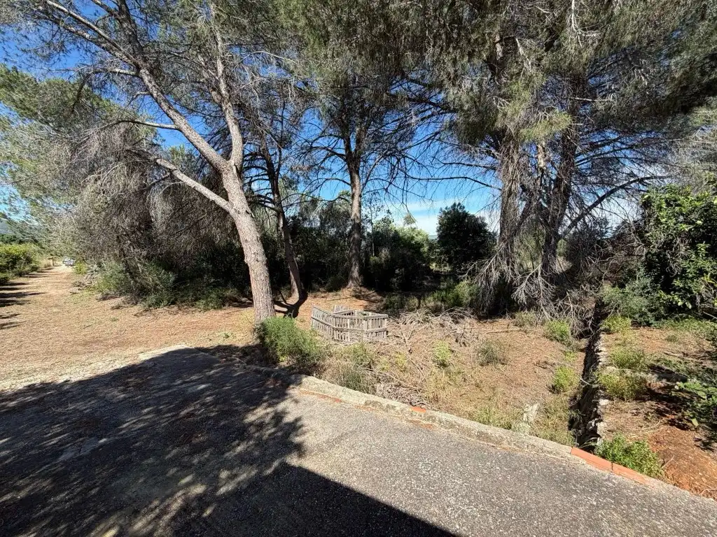 Maison rustique à vendre à Canals, imagen 8