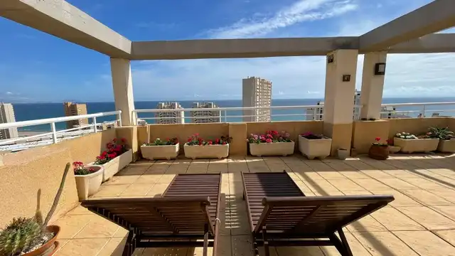 Terrace of Attic for sale in Playa Muchavista