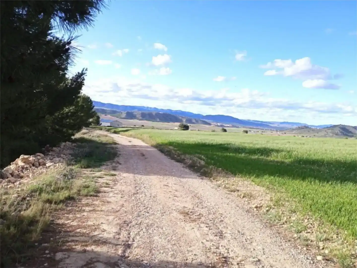 Piso en venta en Jumilla