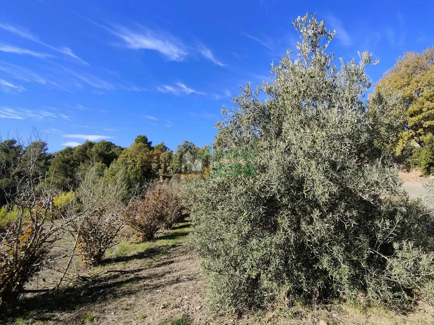 Land for sale in Pradell de la Teixeta