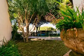 Casa o chalet de alquiler en La Barrosa