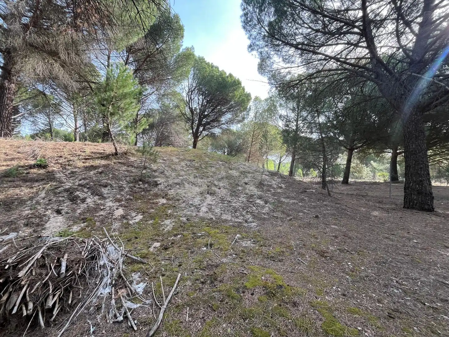 Terreno en venta en Tudela de Duero
