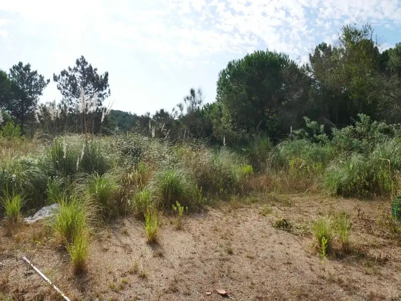Residential land for sale in Avinguda Rafael Albertí 46, imagen 25
