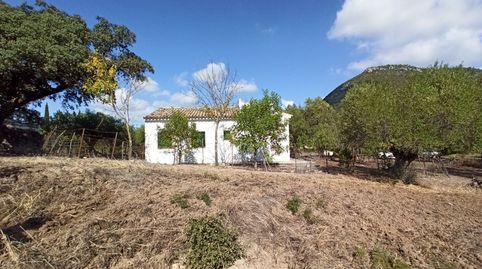 CASA CON PARCELA  EN LA SIERRA DE CADIZ EL BOSQUE