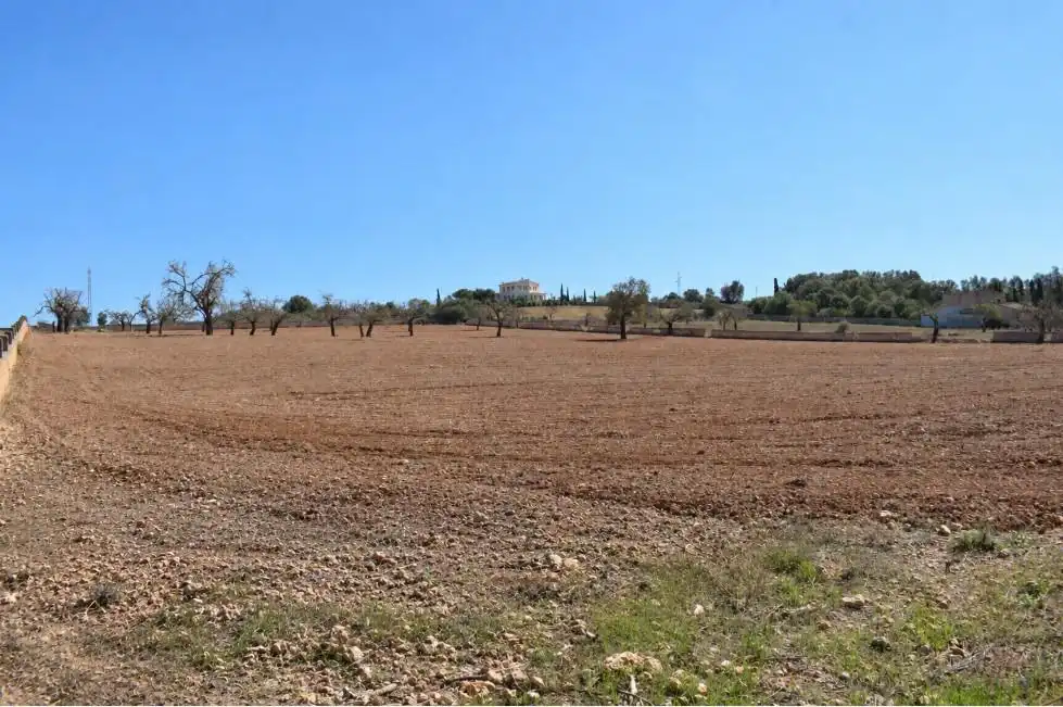Terreny residencial en venda a Ariany, imagen 3