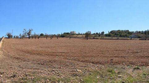 Photo 3 of Country homes for sale in Ariany, Illes Balears