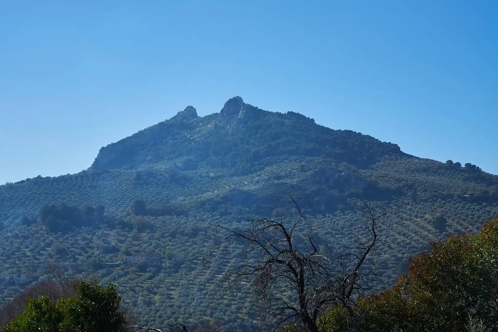 Finca rústica en venda en Jaén amb Aire condicionat, Calefacció i Jardí privat