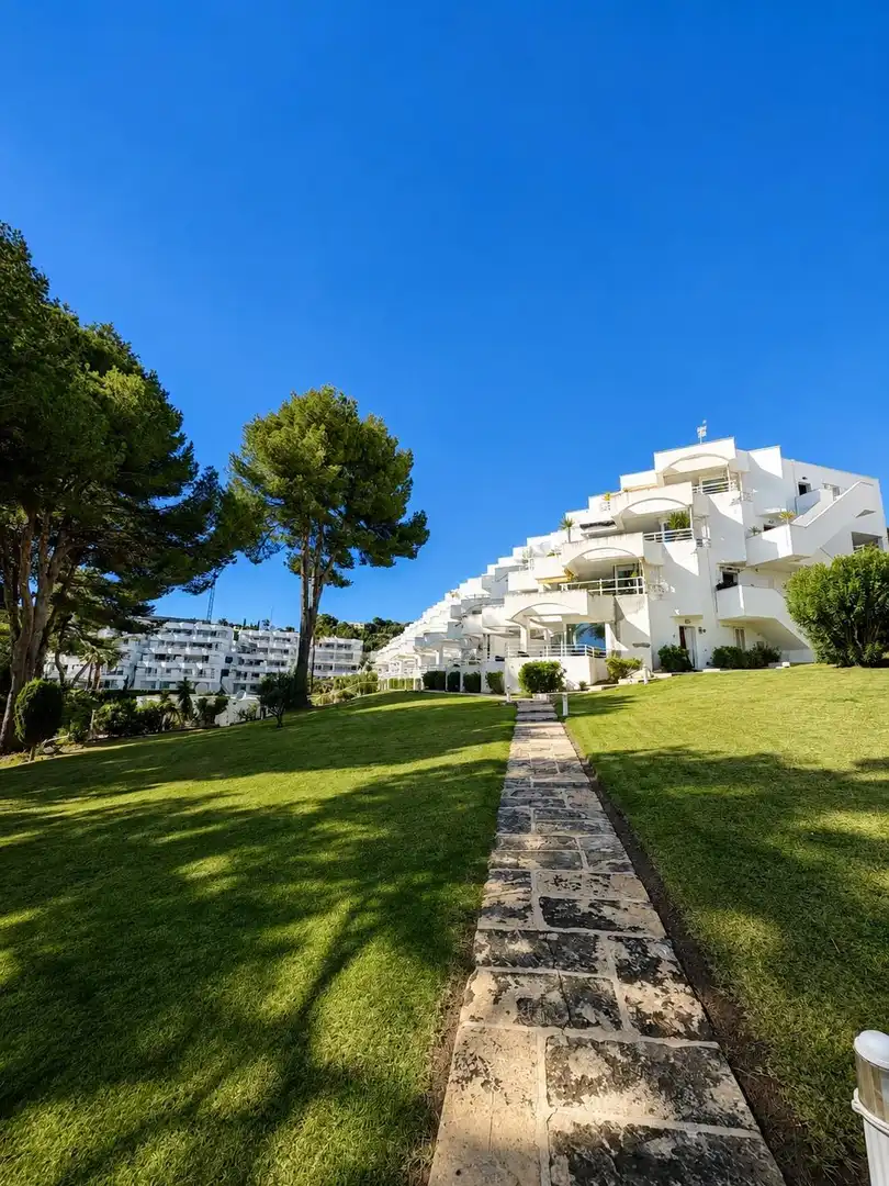 Vista exterior de Casa adosada en venda en Calvià amb Jardí privat, Terrassa i Piscina comunitària