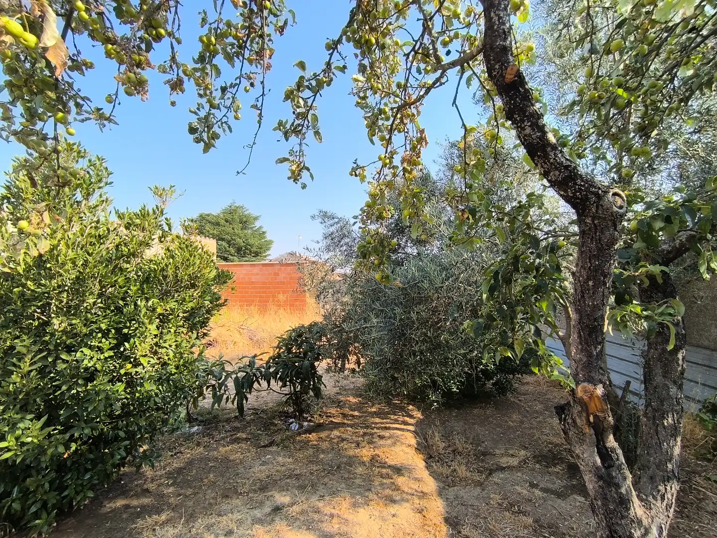 Casa o chalet en venta en Pozo de Urama con Calefacción, Jardín privado y Trastero